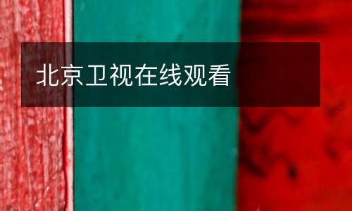 北京卫视在线观看